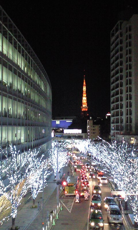 ヒルズからの東京タワー